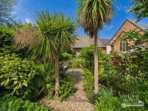 Palm Trees- click for photo gallery
